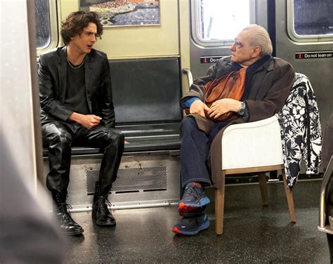 timothée chalamet martin scorsese.